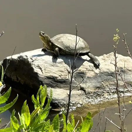 Rrjolli View منزل للإقامة