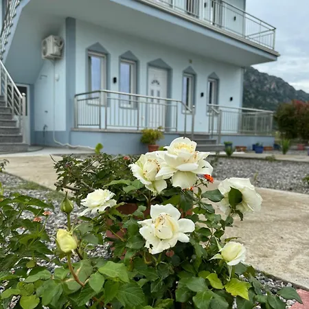 Проживание в семье Rrjolli View