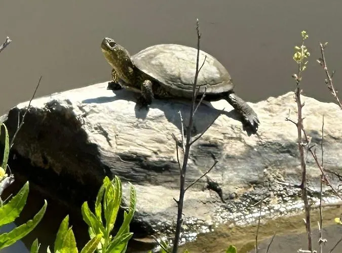 Rrjolli View Alloggio in famiglia