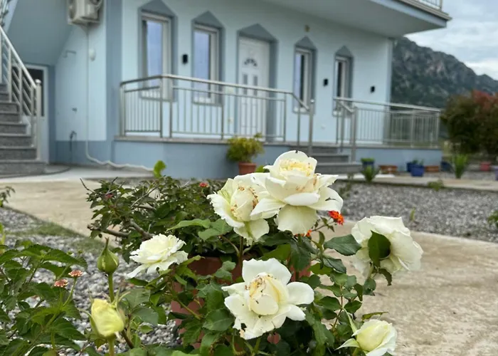 Alloggio in famiglia Rrjolli View